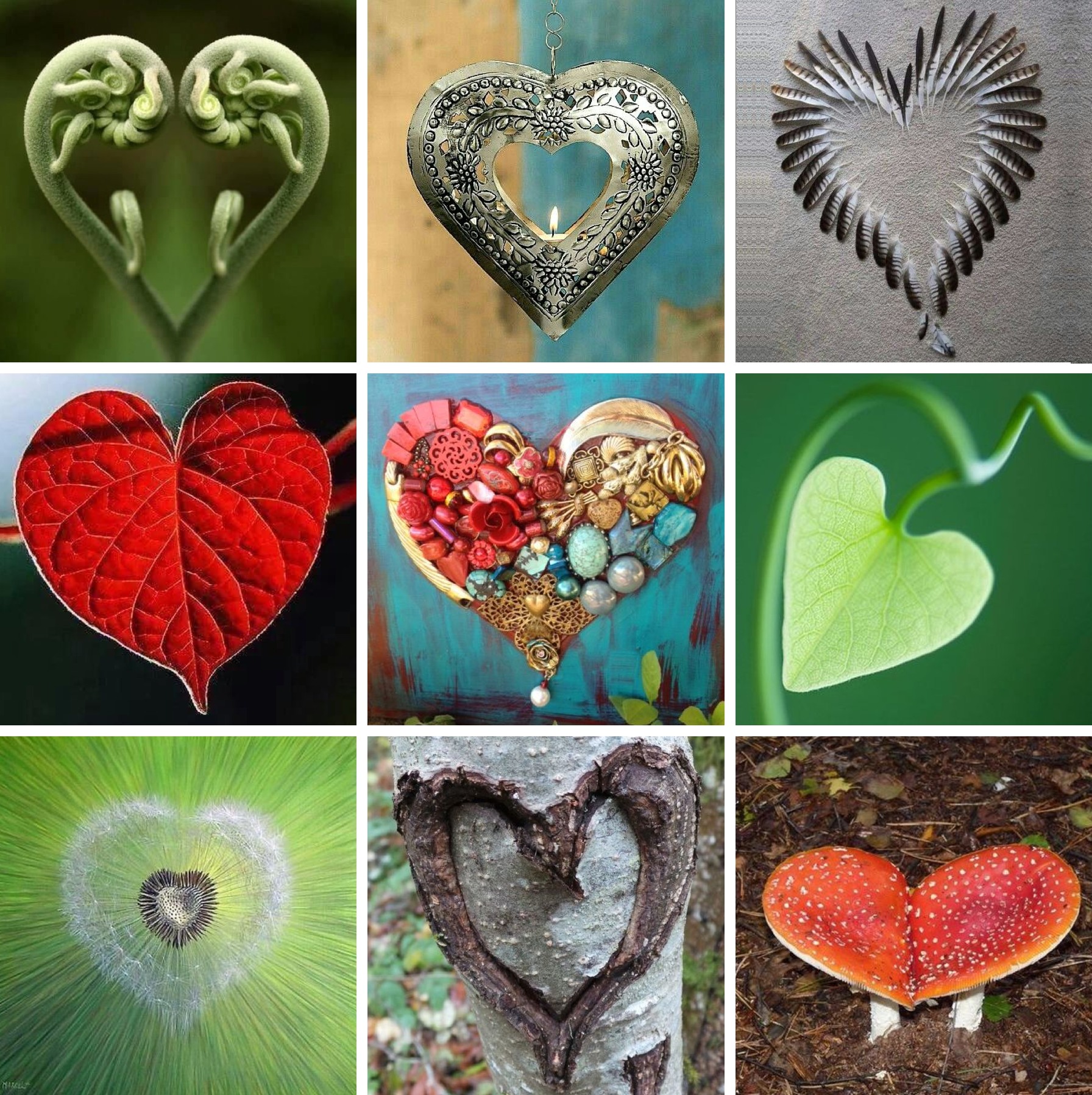 Doe 's lief - Dagtraining 19-09-2025